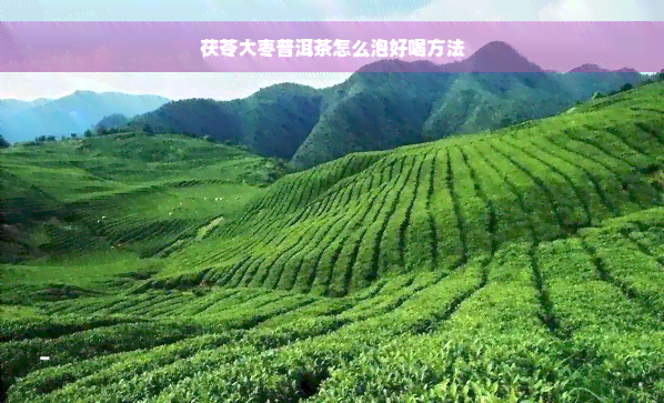 茯苓大枣普洱茶怎么泡好喝方法