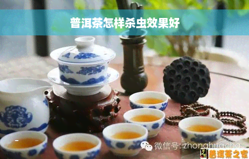 普洱茶怎样杀虫效果好