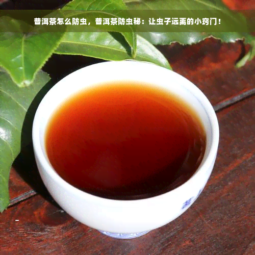 普洱茶怎么防虫，普洱茶防虫秘：让虫子远离的小窍门！