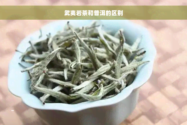 武夷岩茶和普洱的区别