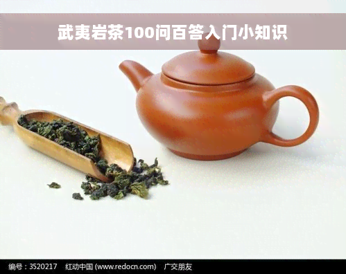 武夷岩茶100问百答入门小知识