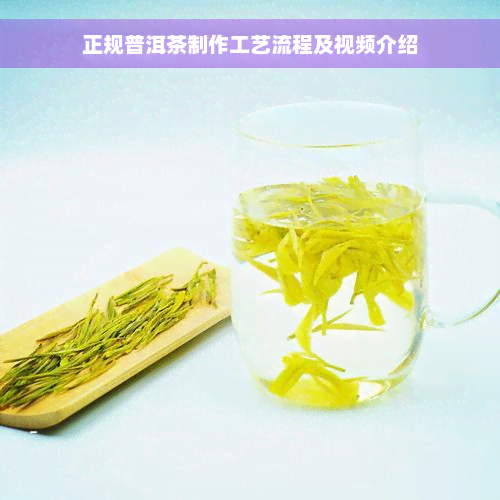 正规普洱茶制作工艺流程及视频介绍