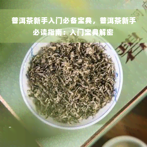 普洱茶新手入门必备宝典，普洱茶新手必读指南：入门宝典解密