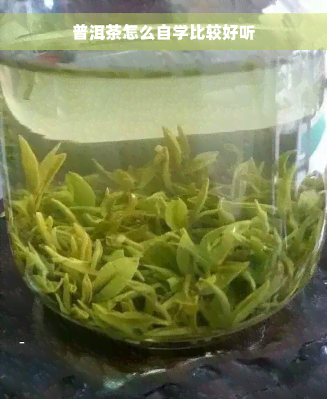 普洱茶怎么自学比较好听