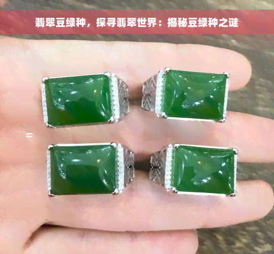 翡翠豆绿种，探寻翡翠世界：揭秘豆绿种之谜