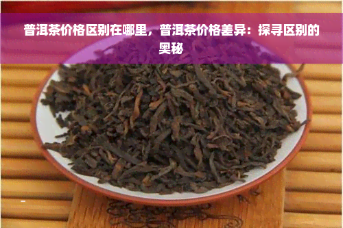 普洱茶价格区别在哪里，普洱茶价格差异：探寻区别的奥秘