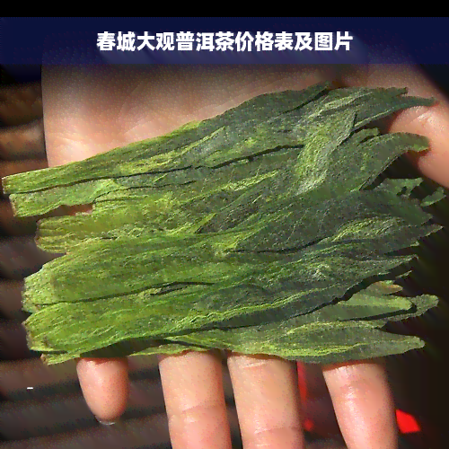 春城大观普洱茶价格表及图片