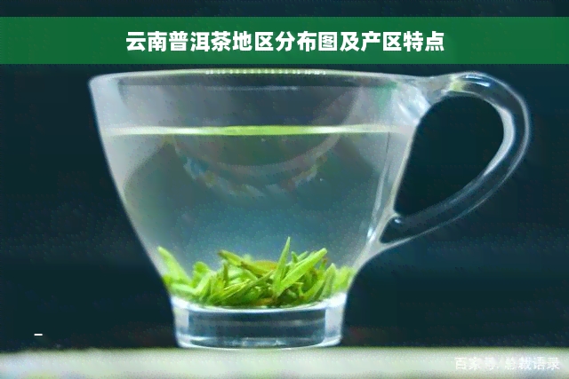 云南普洱茶地区分布图及产区特点