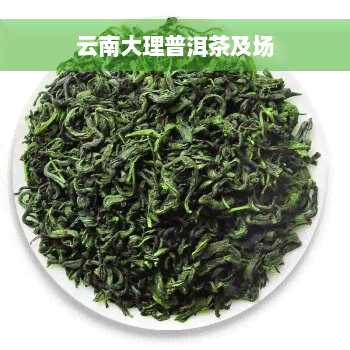 云南大理普洱茶及场