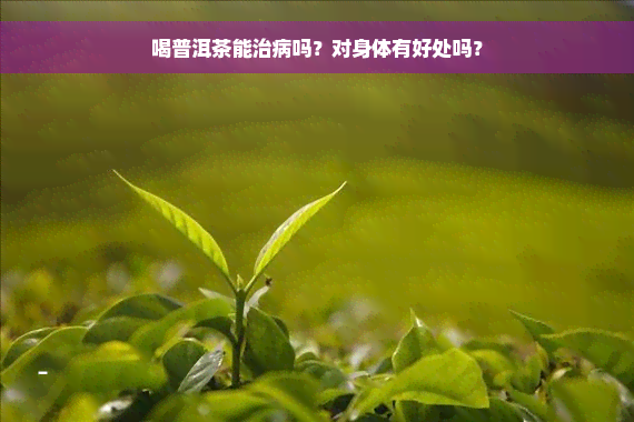 喝普洱茶能治病吗？对身体有好处吗？