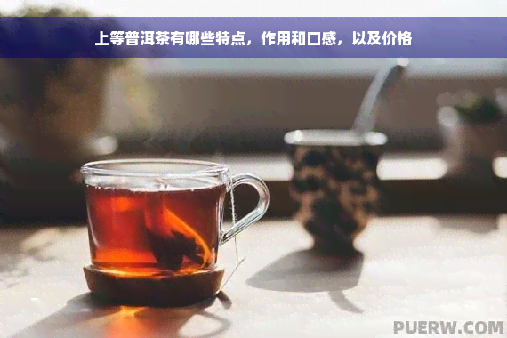 上等普洱茶有哪些特点，作用和口感，以及价格