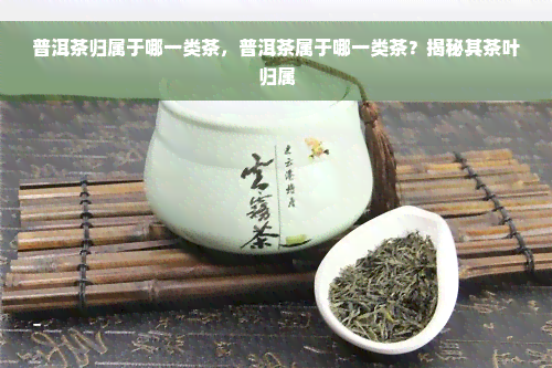 普洱茶归属于哪一类茶，普洱茶属于哪一类茶？揭秘其茶叶归属