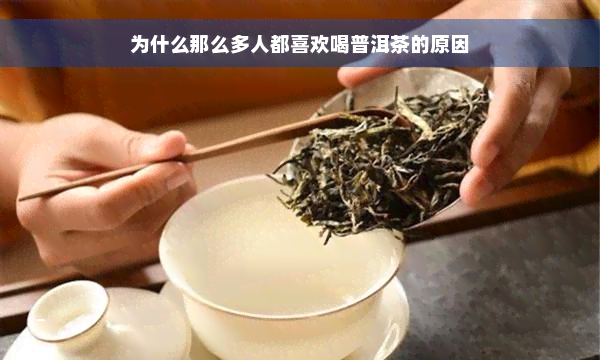 为什么那么多人都喜欢喝普洱茶的原因