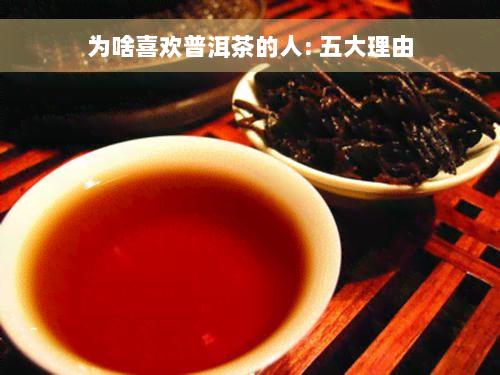 为啥喜欢普洱茶的人: 五大理由