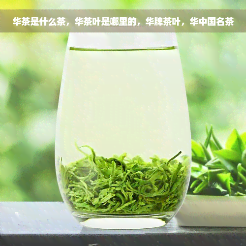 华茶是什么茶，华茶叶是哪里的，华牌茶叶，华中国名茶