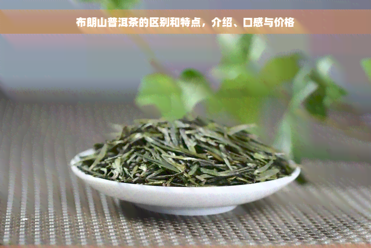 布朗山普洱茶的区别和特点，介绍、口感与价格