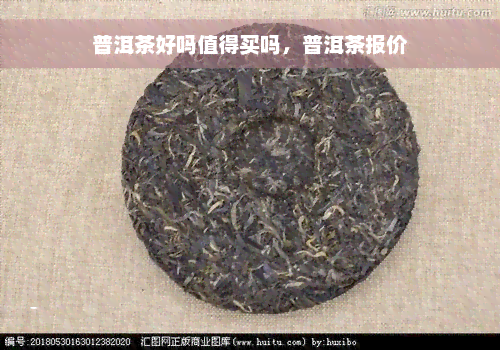 普洱茶好吗值得买吗，普洱茶报价