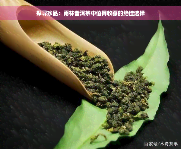 探寻珍品：雨林普洱茶中值得收藏的绝佳选择