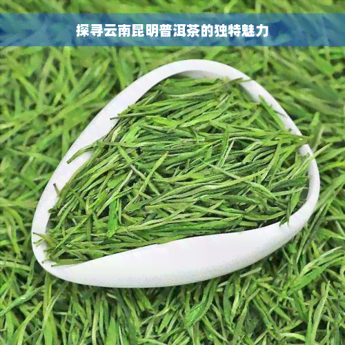 探寻云南昆明普洱茶的独特魅力