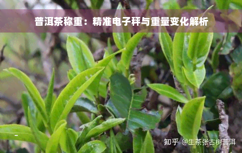 普洱茶称重：精准电子秤与重量变化解析