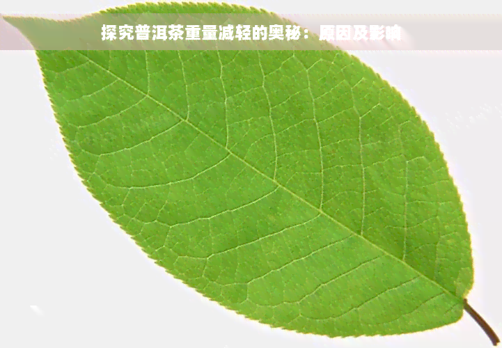 探究普洱茶重量减轻的奥秘：原因及影响