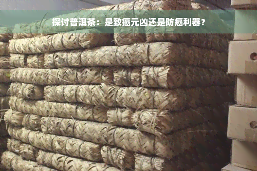 探讨普洱茶：是致癌元凶还是防癌利器？