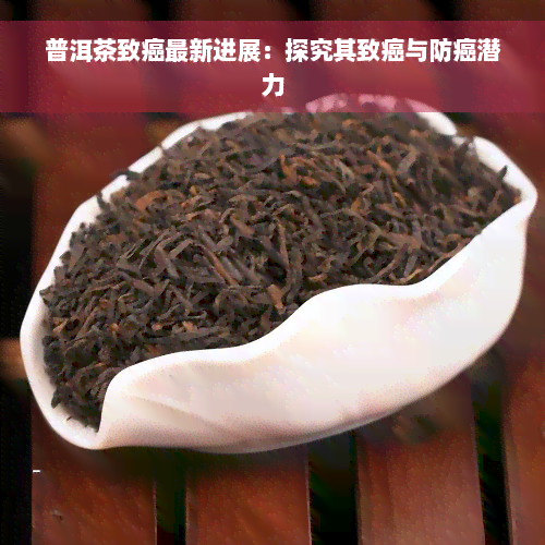 普洱茶致癌最新进展：探究其致癌与防癌潜力