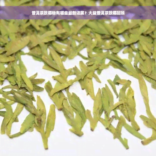 普洱茶致癌物有哪些最新进展？大益普洱茶致癌回顾