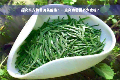 探究东方韵普洱茶价格：一盒究竟需要多少金钱？