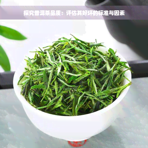 探究普洱茶品质：评估其好坏的标准与因素