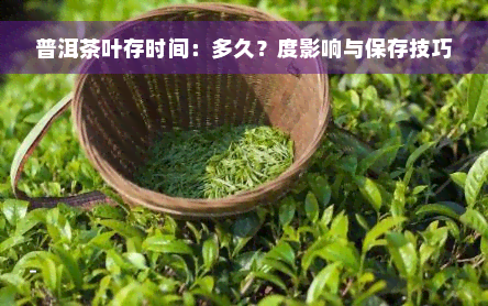 普洱茶叶存时间：多久？度影响与保存技巧