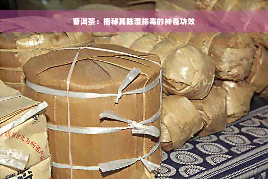 普洱茶：揭秘其除湿排毒的神奇功效