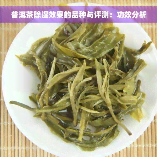 普洱茶除湿效果的品种与评测：功效分析