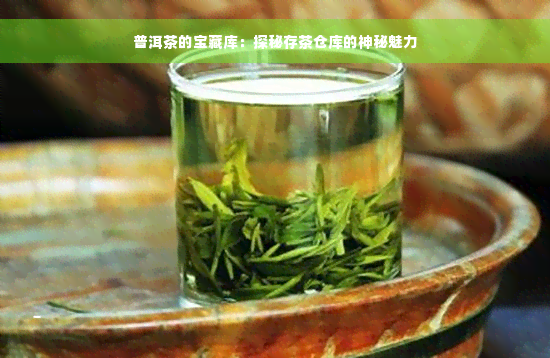 普洱茶的宝藏库：探秘存茶仓库的神秘魅力