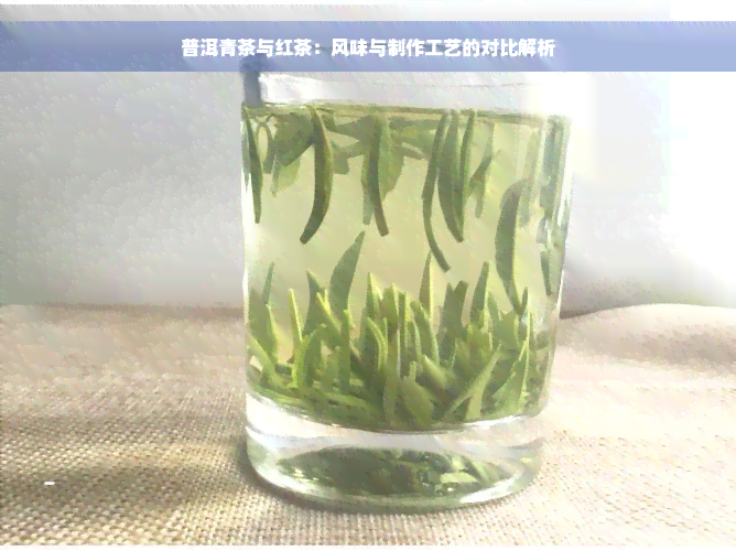 普洱青茶与红茶：风味与制作工艺的对比解析