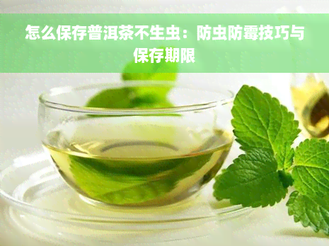 怎么保存普洱茶不生虫：防虫防霉技巧与保存期限