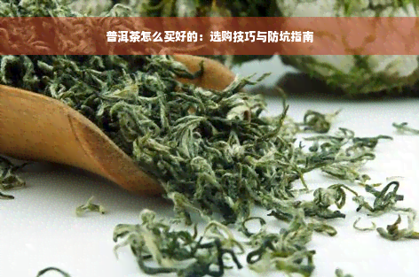 普洱茶怎么买好的：选购技巧与防坑指南