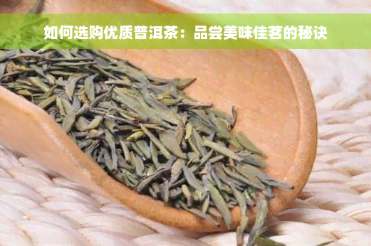 如何选购优质普洱茶：品尝美味佳茗的秘诀