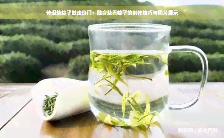 普洱茶粽子做法窍门：融合茶香粽子的制作技巧与图片展示