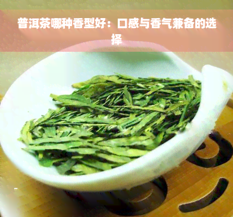 普洱茶哪种香型好：口感与香气兼备的选择