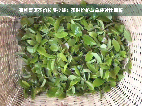 有机普洱茶价位多少钱：茶叶价格与盒装对比解析