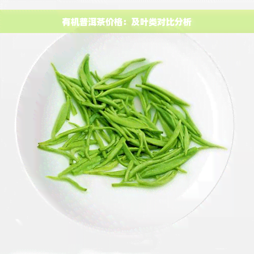 有机普洱茶价格：及叶类对比分析