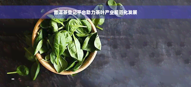 普洱茶登记平台助力茶叶产业规范化发展