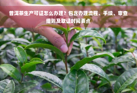 普洱茶生产可证怎么办理？包含办理流程、手续、审查细则及取证时间要点