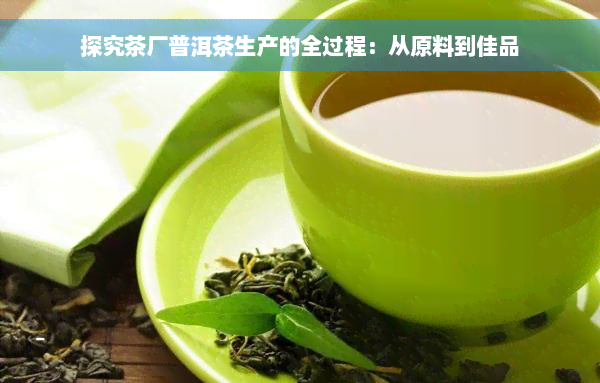 探究茶厂普洱茶生产的全过程：从原料到佳品