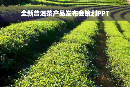 全新普洱茶产品发布会策划PPT