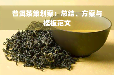 普洱茶策划案：总结、方案与模板范文