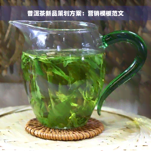 普洱茶新品策划方案：营销模板范文