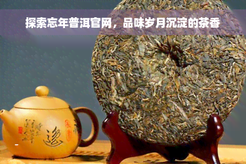 探索忘年普洱官网，品味岁月沉淀的茶香