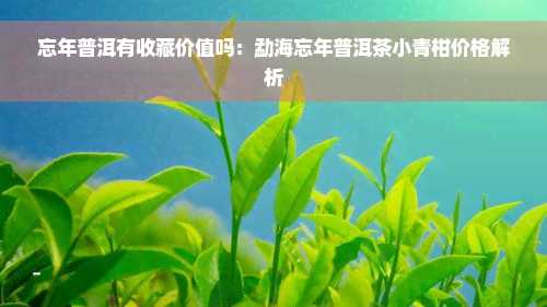 忘年普洱有收藏价值吗：勐海忘年普洱茶小青柑价格解析